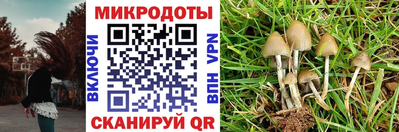 Галлюциногенные грибы мухоморы  продажа наркотиков  Морозовск 