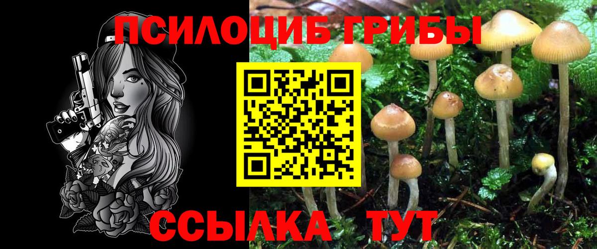 Галлюциногенные грибы Cubensis  Морозовск  Галлюциногенные грибы MAGIC MUSHROOMS 