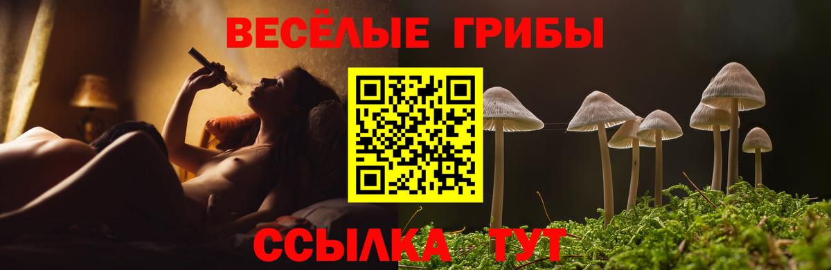 Галлюциногенные грибы Cubensis  Галлюциногенные грибы мицелий  Морозовск  Вход с VPN 